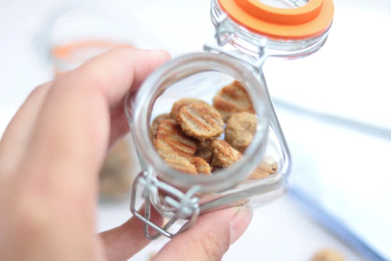Homemade Tuna Cat Treats Your Cat Will Go Crazy For