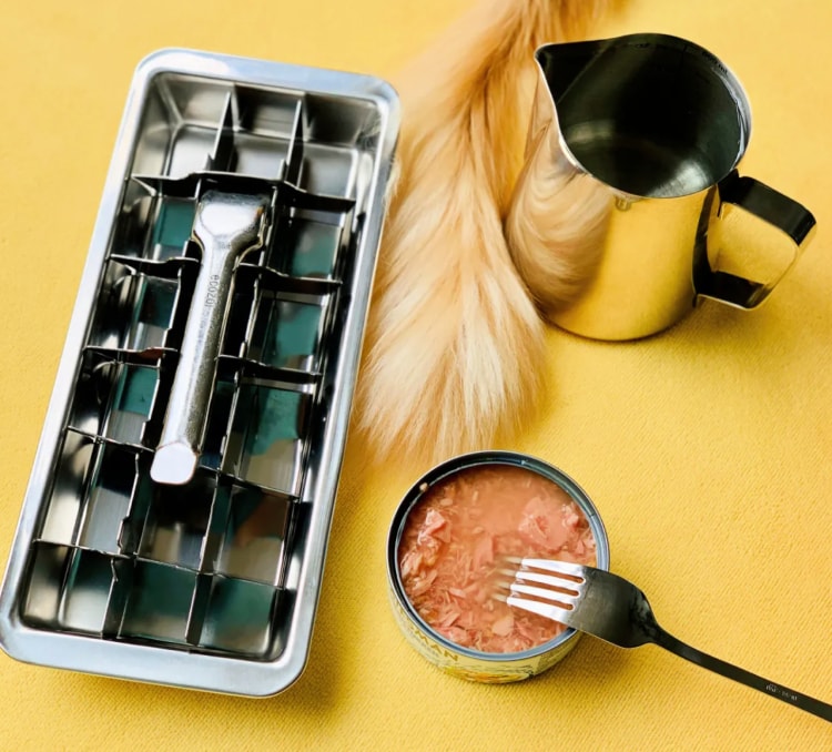 How to make frozen tuna cubes for your cat’s summer treats