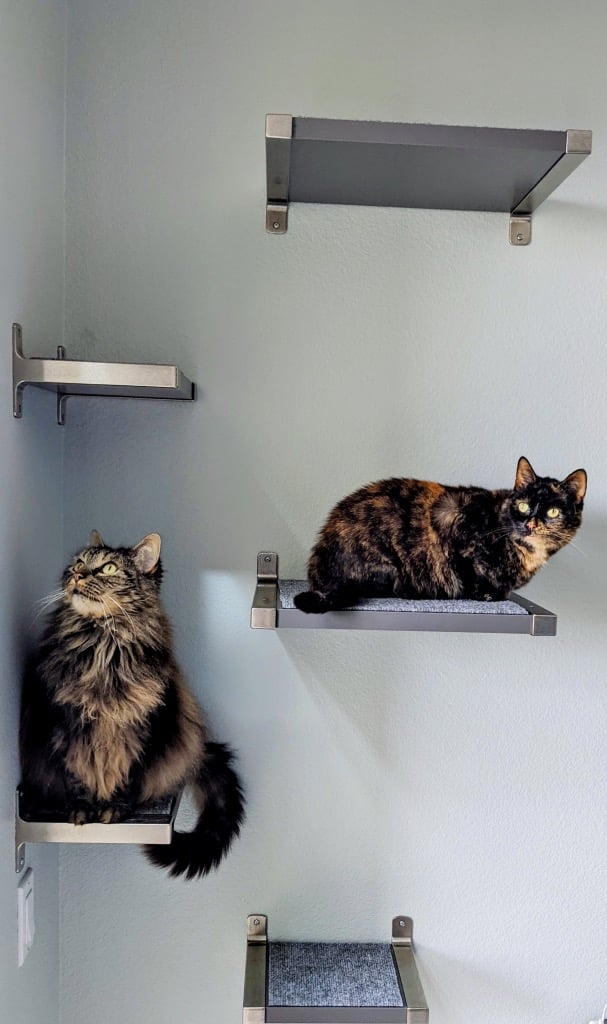IKEA Floating Cat Shelves- Ikea