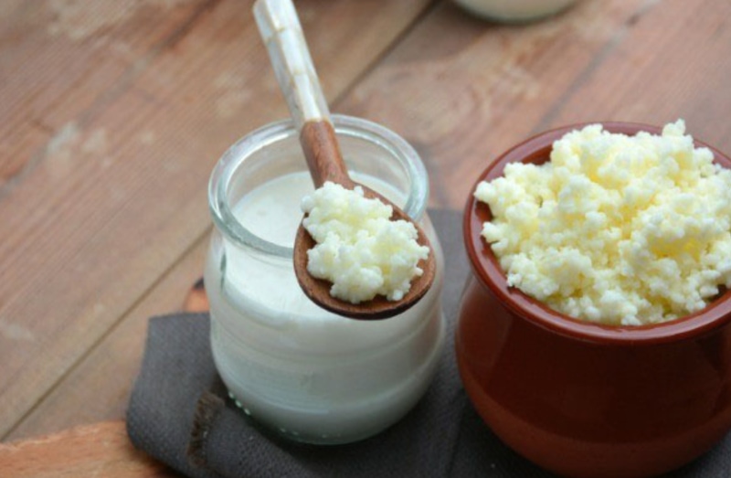 Kefir - Homemade Probiotics for You and Your Pet