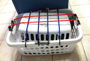 Laundry Basket Cat Carrier- Pet DIYs
