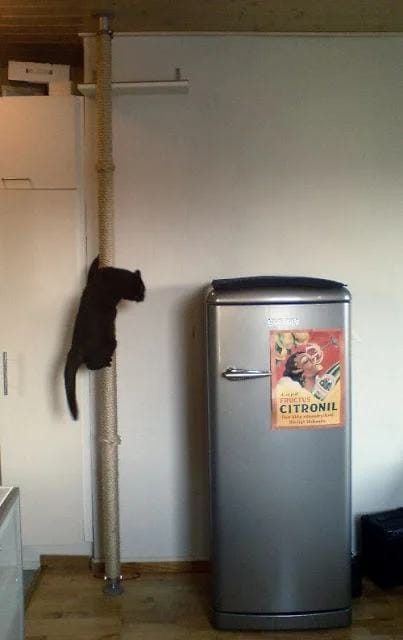 MINIMALISTIC FLOOR-TO-CEILING CLIMBING POST FOR CATS