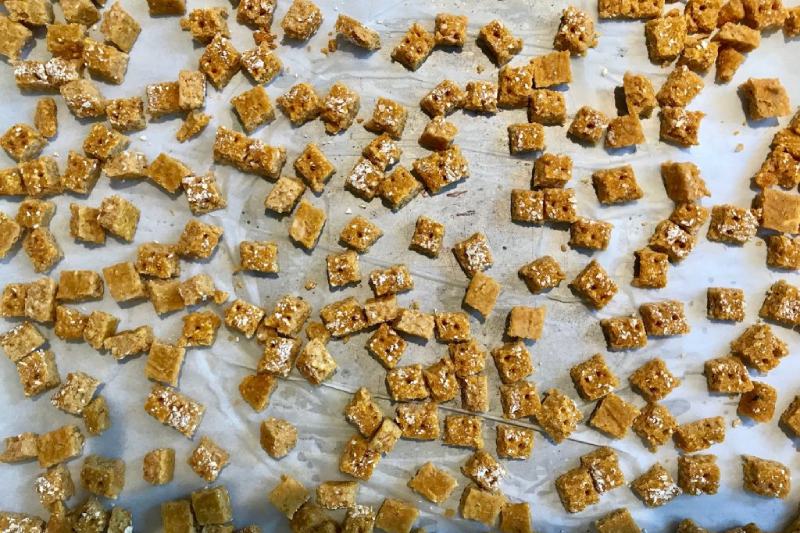 PUMPKIN AND SALMON KITTY BITS (CAT TREATS)