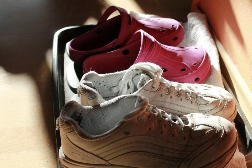 Pairs of shoes being left out to dry