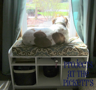 Project at the Picketts Cat Bed- Projects at the picketts