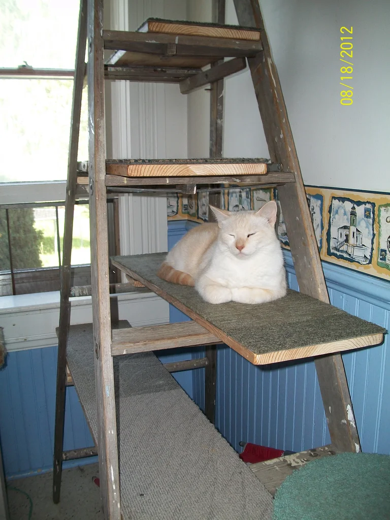 Recycled Ladder Cat Tree- Instructables