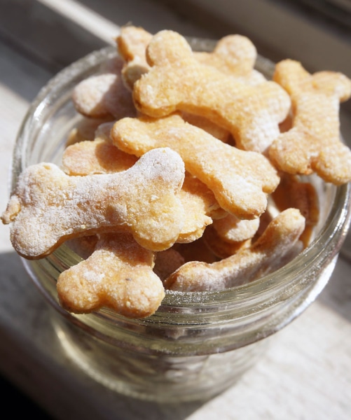 TASTY TUNA CAT TREATS