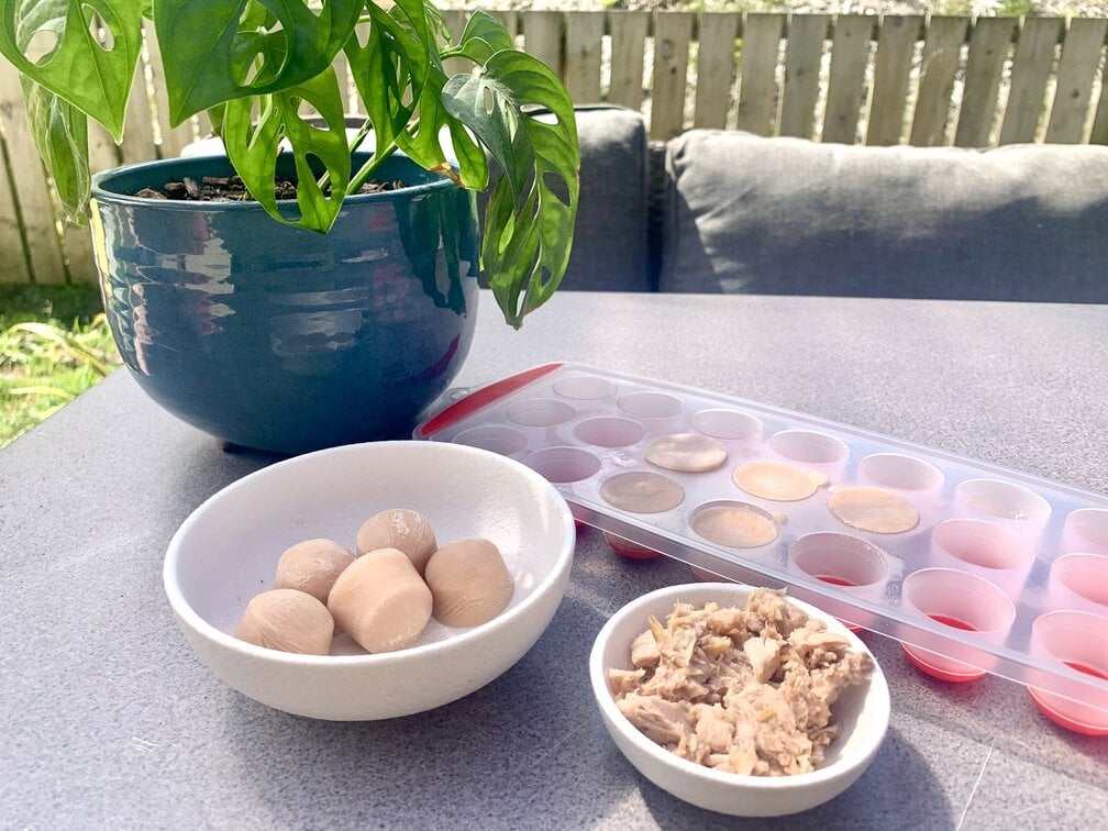 Tuna iced cat treats finished on table