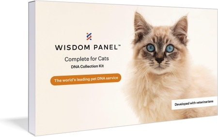 Wisdom Panel Complete Cat DNA Test