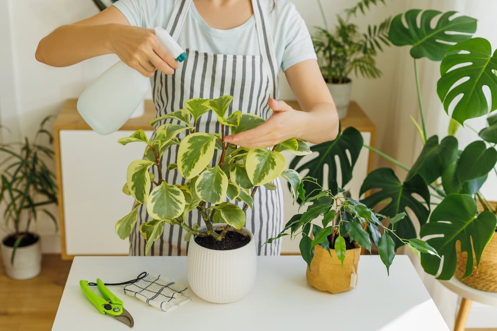 Woman with apron planting in vases