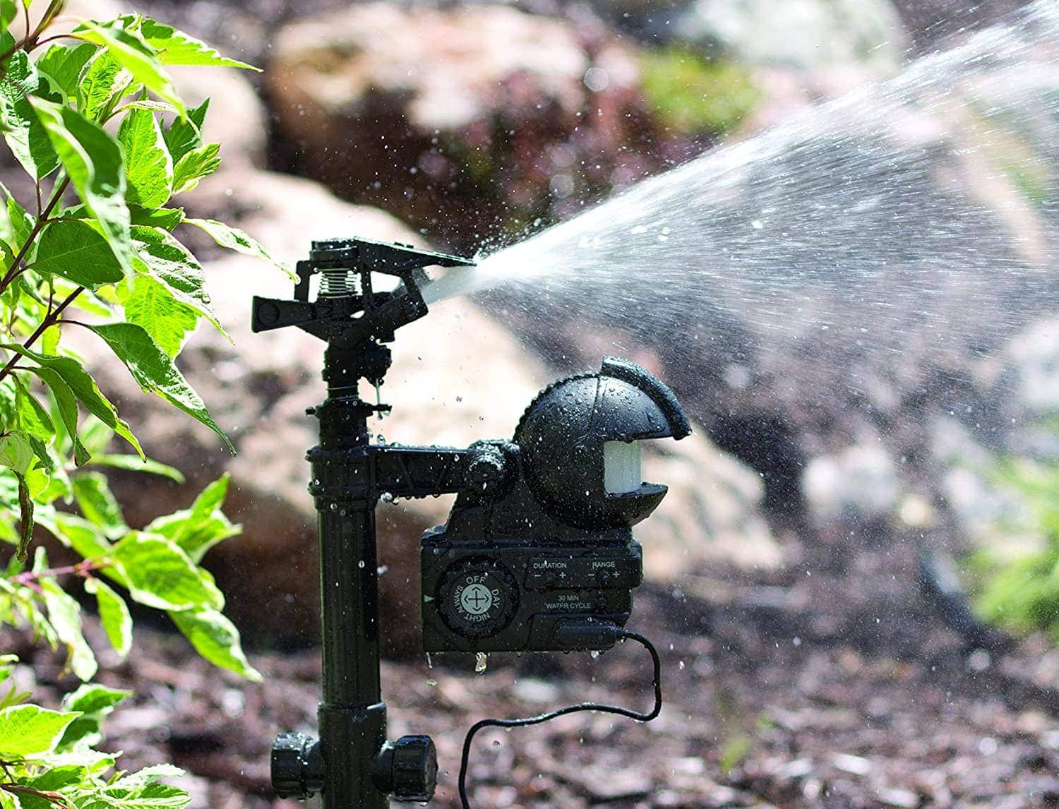 actual use of Orbit 62100 Yard Enforcer Motion-Activated Sprinkler