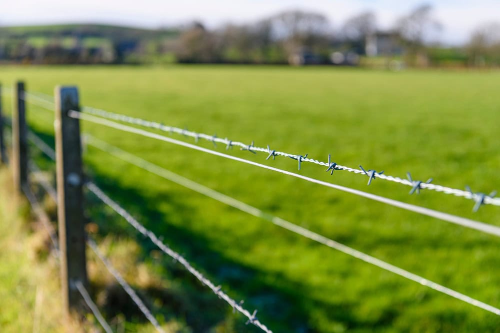 barbed wire fences