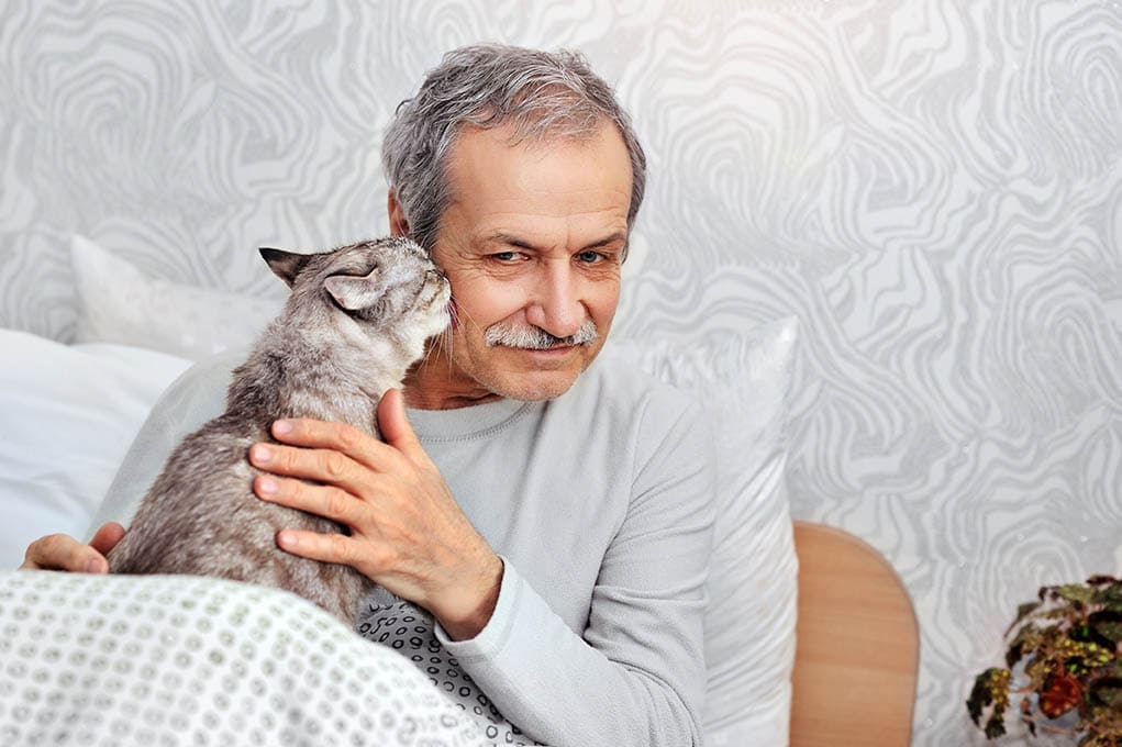 cat licking man's side hair