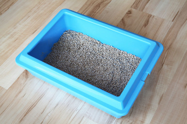 How to Keep Litter from Sticking to a Litter Box: Vet Approved Tips
