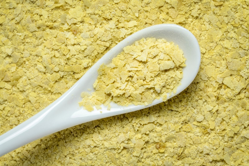 closeup of nutritional organic yeast flakes