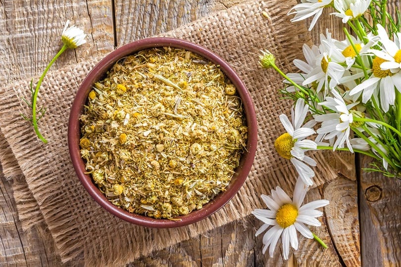 dried chamomile in a bowl