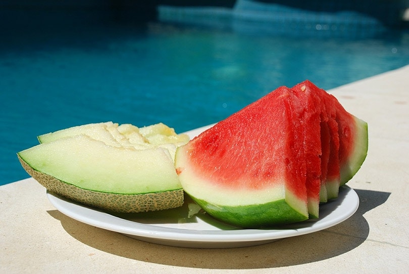 melons on white plate placed by the pool