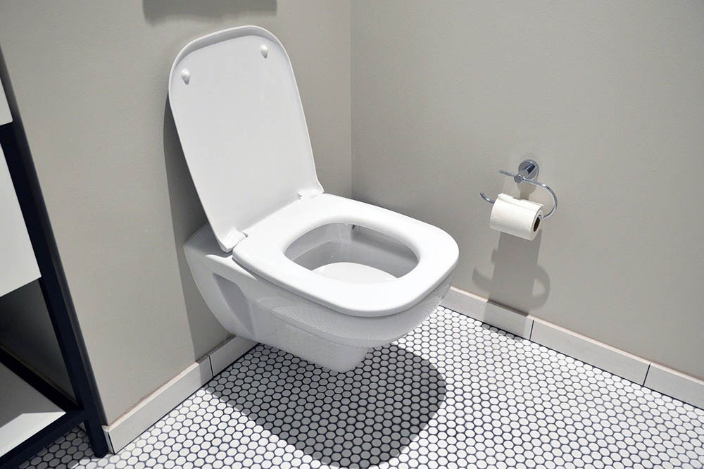 toilet bowl