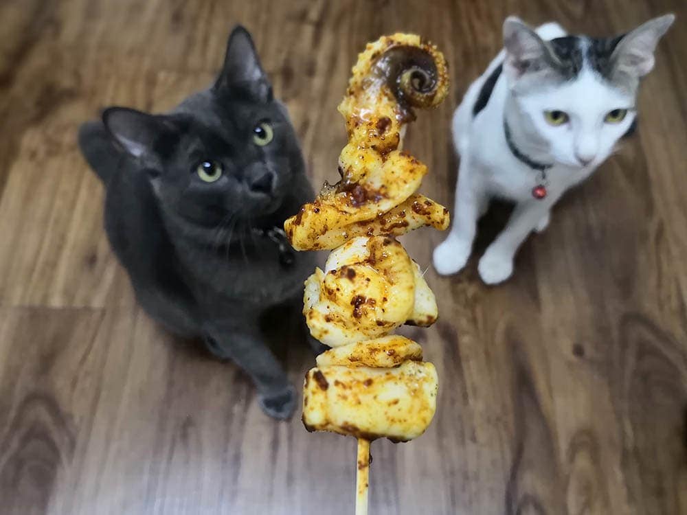 two cats and a grilled octopus on a stick