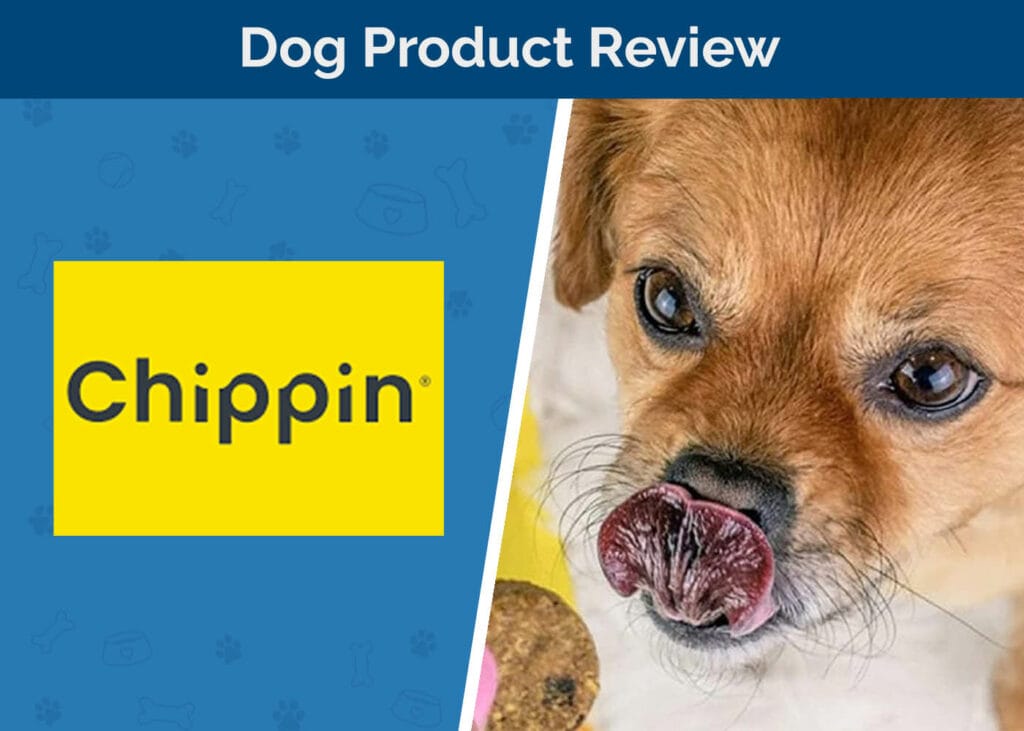 Chippin Dog Treats Review