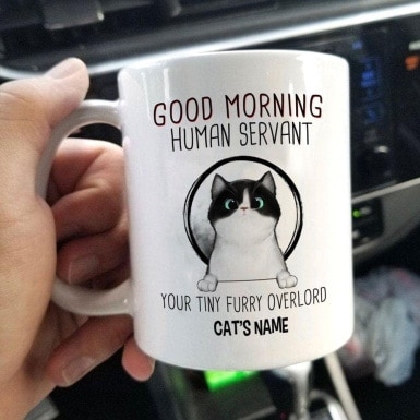 Customized Funny Cat Mug