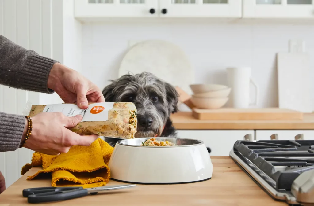 Farmers dog waiting for food to be poured