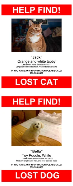 LOST PET POSTER TEMPLATE
