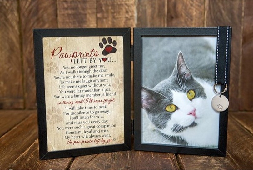 Pawprints Left by You Cat Picture Frame