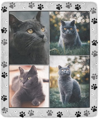 SHIYEL Custom Blanket with Photos for Cat