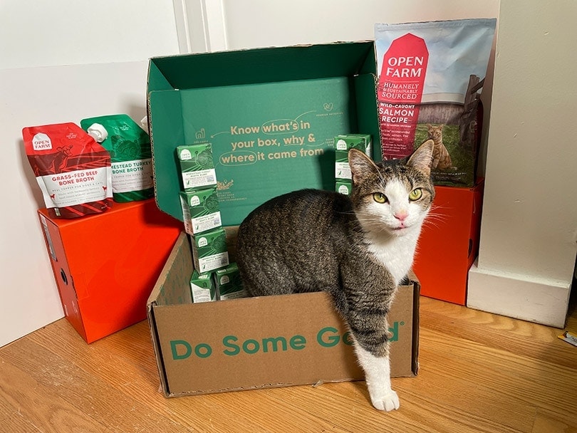 a tabby cat sitting in the box packaging of open farm cat food recipes