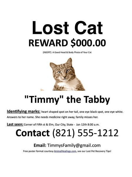 Lost Dog or Cat, Pet Poster Template for MS Word
