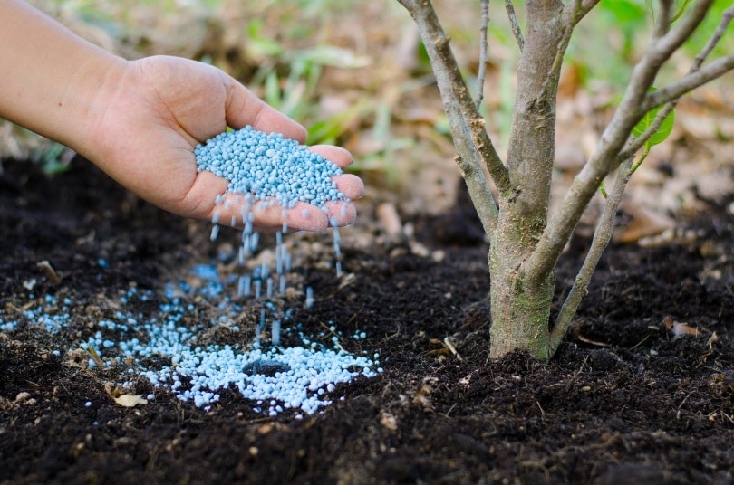 mans hand sprinkling chemical to the soil