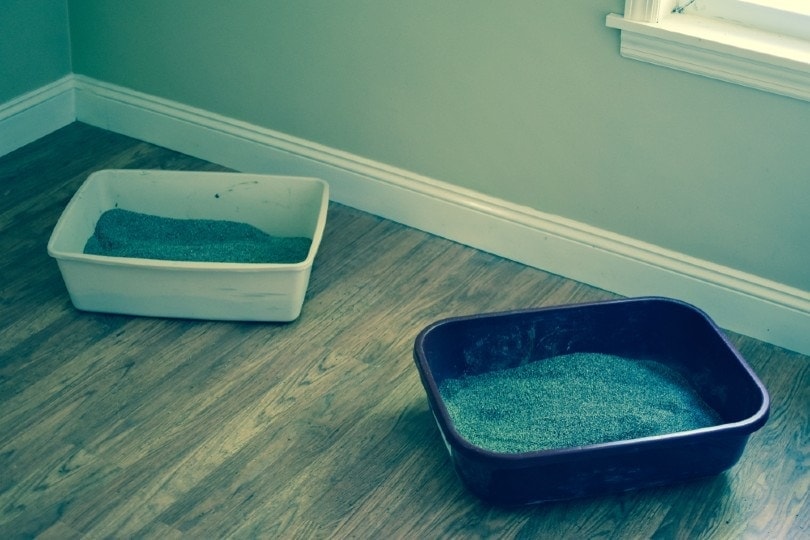 two cat litter boxes on wood floor indoors