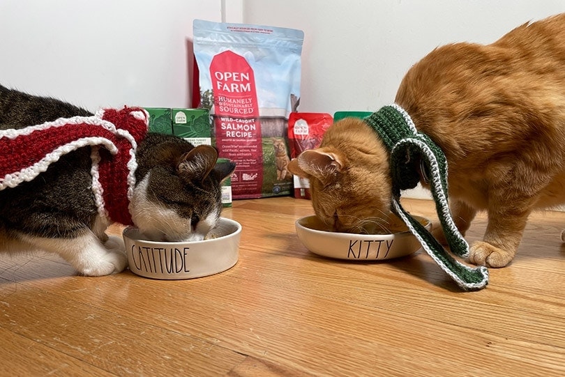 two cats eating open farm cat food from white printed bowls