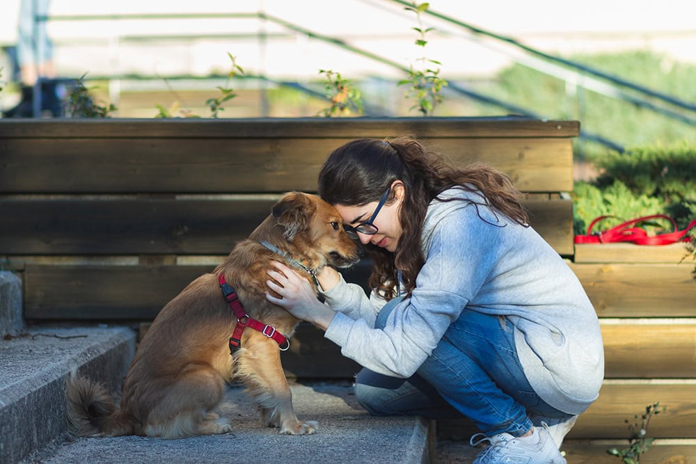 woman caresses emotional support dog