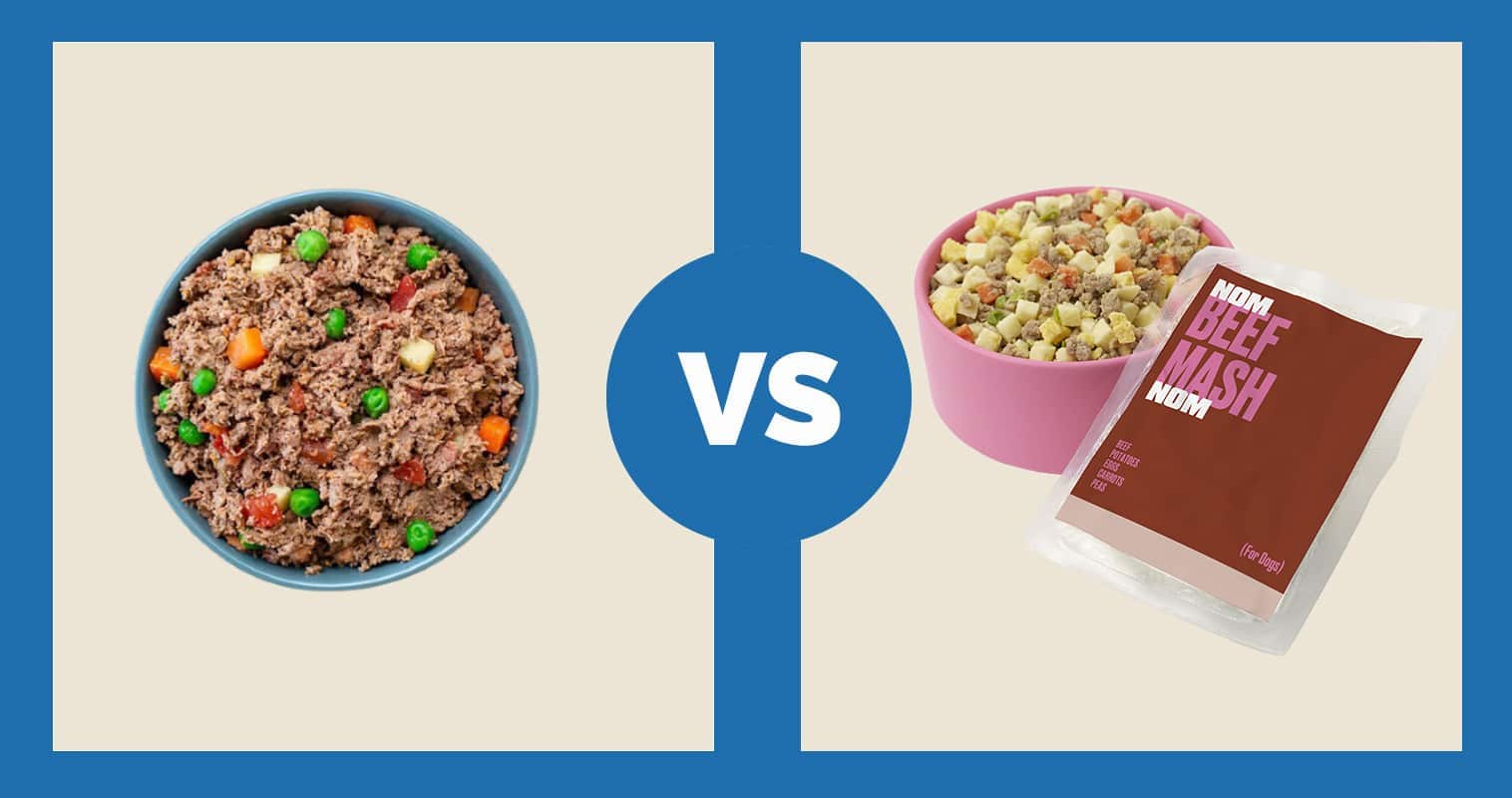 A Pup Above vs Nom Nom Dog Food 2024