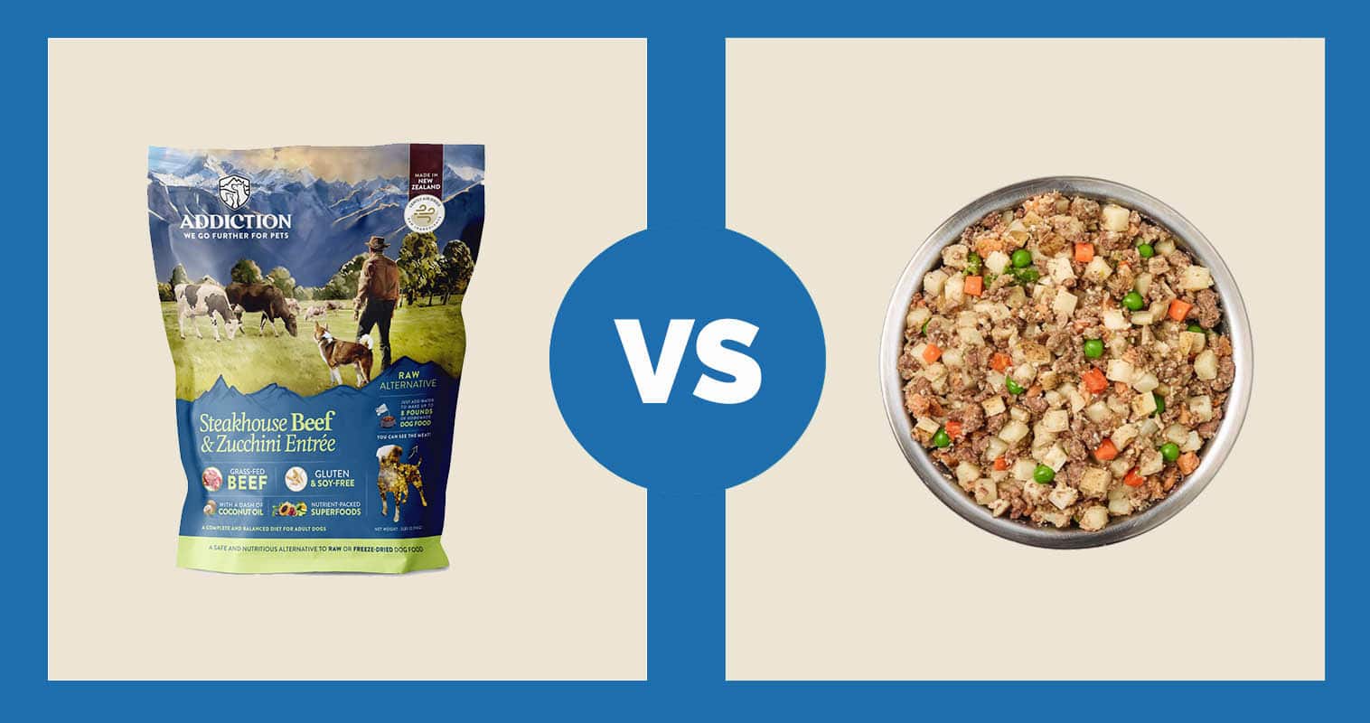 Addiction Steakhouse Beef & Zuchini Dehydrated Dog Food vs Just Food For Dogs Beef & Russet Potato