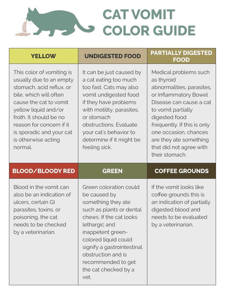 Cat_Vomit_Color_Guide