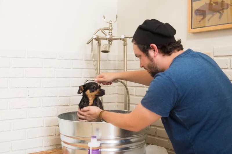 DIY dog bathtub
