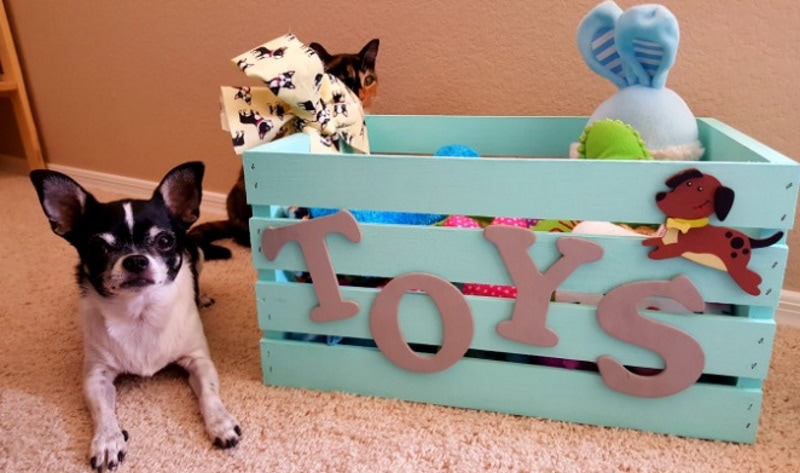 DIY dog toy box