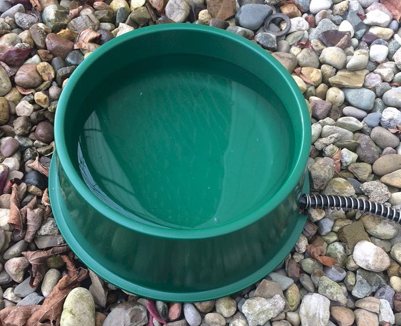 Farm Innovators Model QT-1 1-Quart Heated Bowl