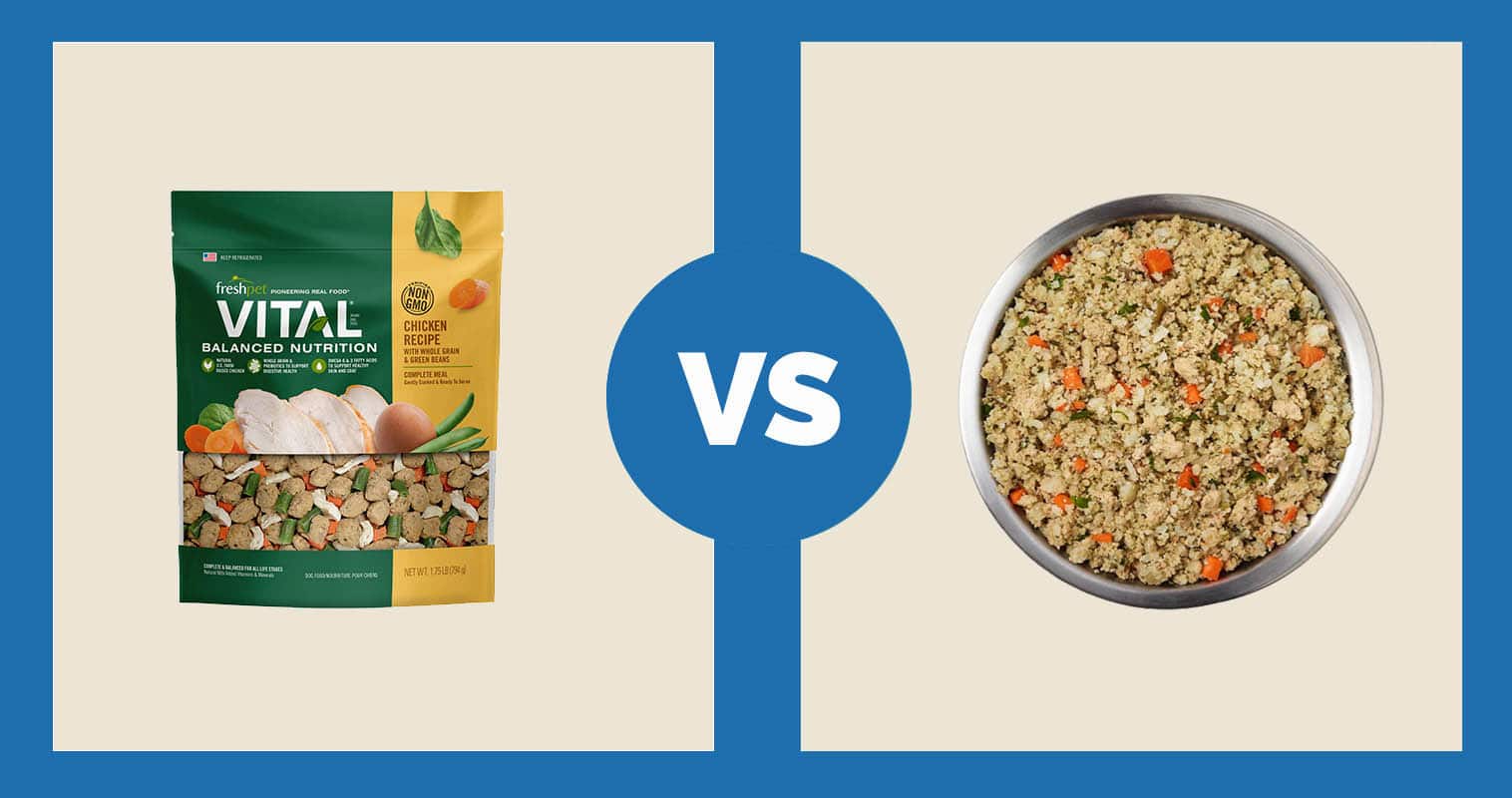 Freshpet Vital Balanced Nutrition Chicken & Whole Grains Recipe Fresh Dog Food vs Just Food For Dogs Chicken & White Rice