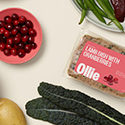 Ollie Pets Fresh Dog Food Lamb Recipe