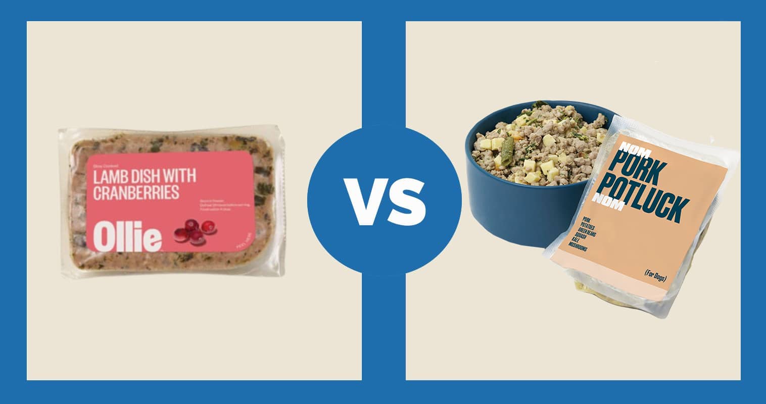 Ollie vs Nom Nom Dog Food 2024