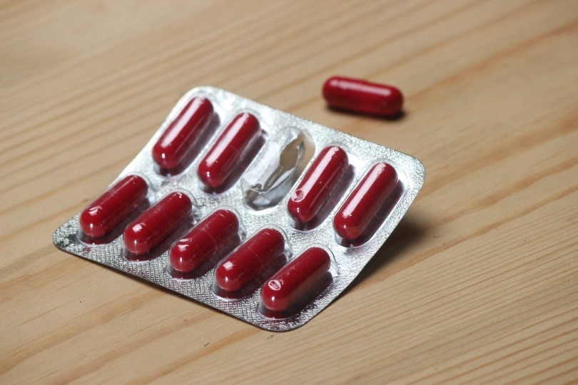 Red antibiotic capsule in a blister pack
