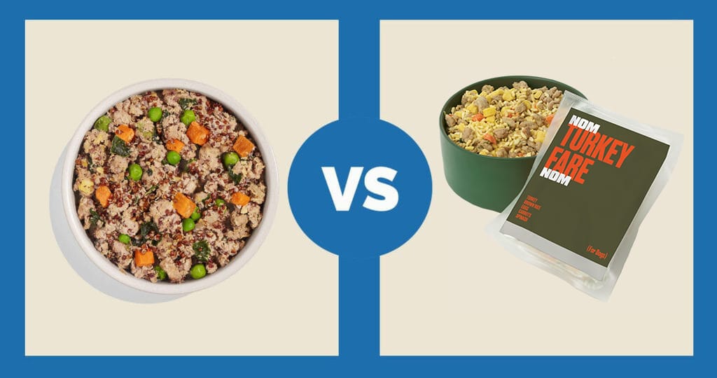 Spot and Tango vs Nom Nom Dog food 2024