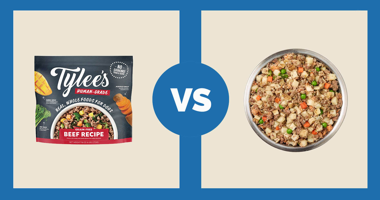 Tylee’s Frozen Dog Food Beef Recipe vs Just Food For Dogs Beef & Russet Potato