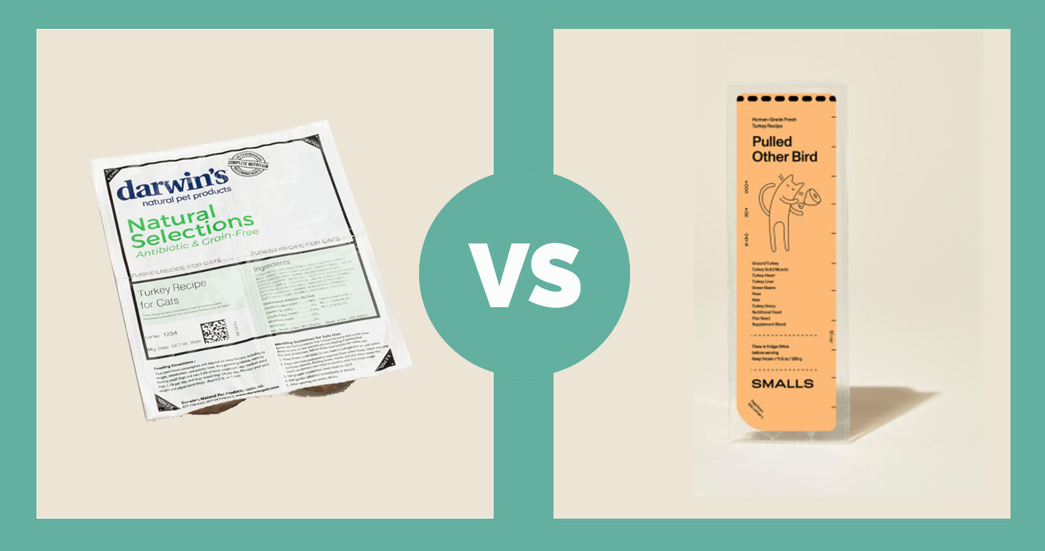 darwins vs smalls pulled other bird