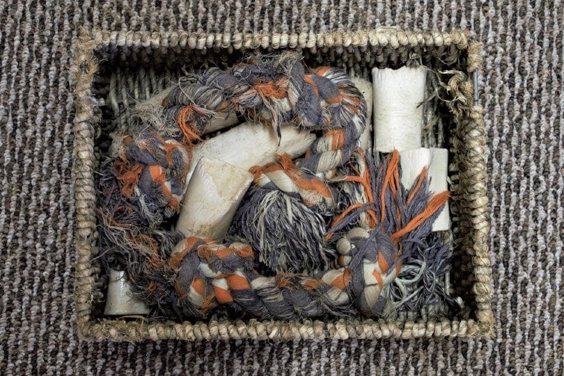 dog toys in a storage box