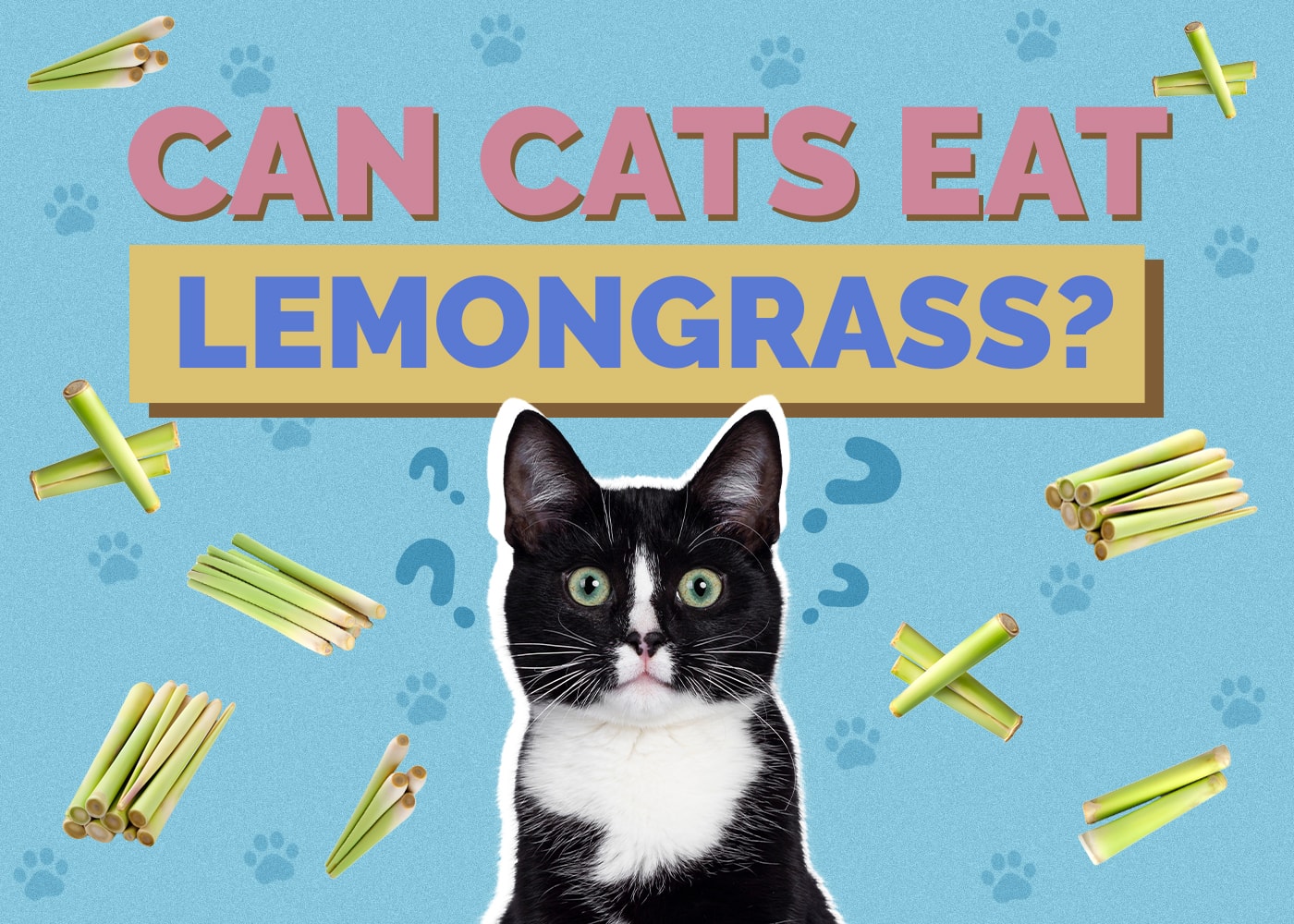 Can Cats Eat lemongrass